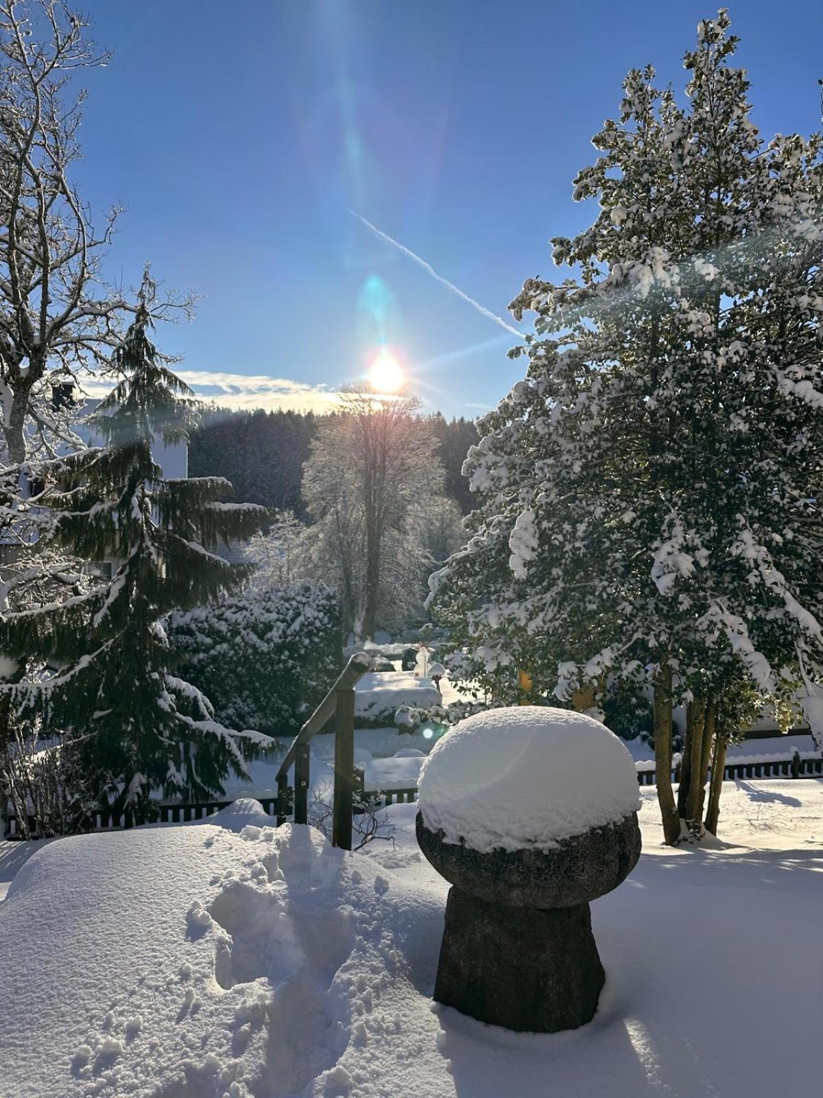 Boutique Hotel Dorer Schönwalde 외부 사진